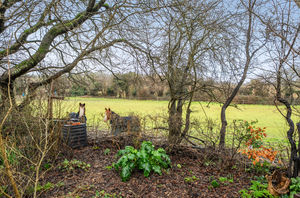 Photo 23- click for photo gallery